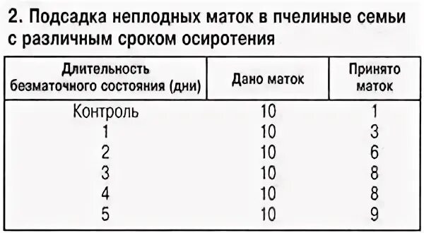 Вывод маток. Сроки вывода маток. Вывод маток пчел. Выводим матку пчелы.