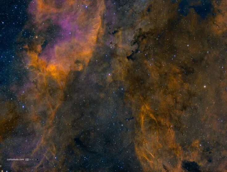 Cygni обзор. Туманность гамма лебедя. hdri космос. nebula gray color. cygni.