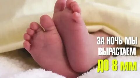 День 7 спящих
