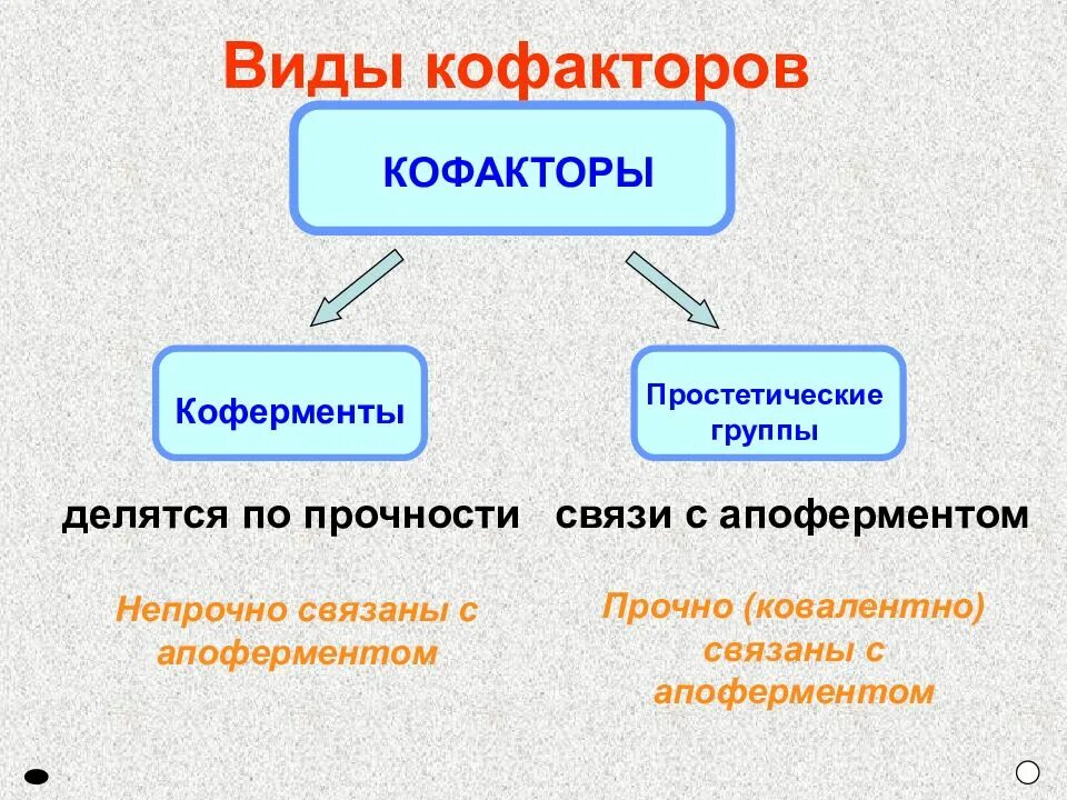 2 группы ферментов. Кофакторы коферменты и простетические группы. Коферменты и простетические группы ферментов. Кофакторы фиды. Строение ферментов. Коферменты и простетические группы..