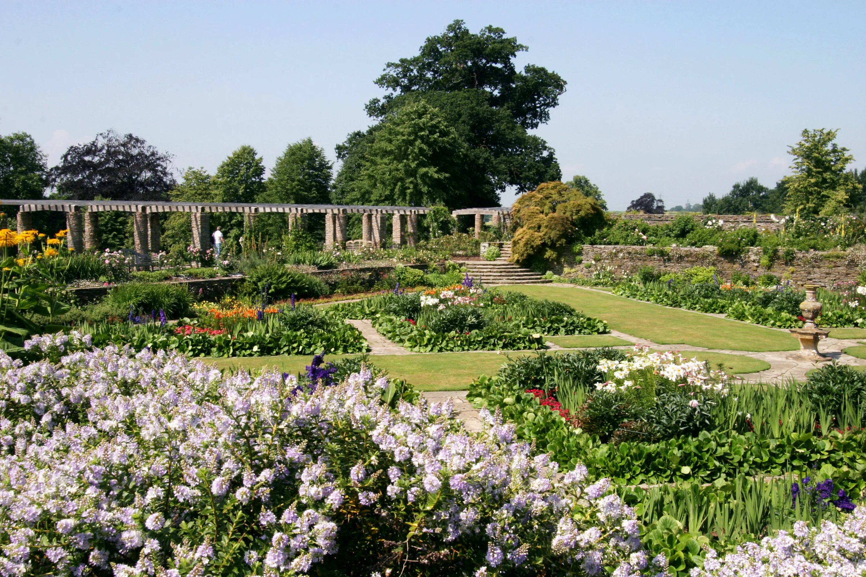 боргезе вилла ландшафт. Garden history. Studley royal park план. растения в лондоне. гертруда джекилл хестеркомб.