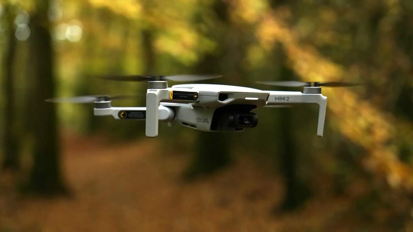 Dji assistant 2 for mavic. Мавик мини 2. dji mavic mini. dji mavic mini 1. drone dji mini 2.