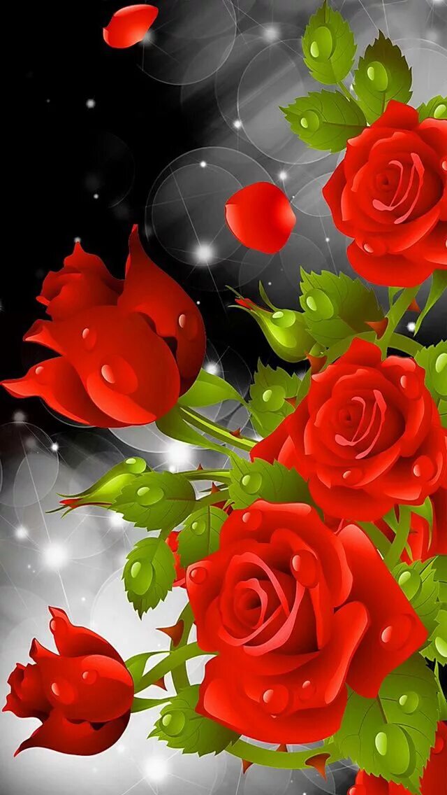 Бесплатные заставки розы на заставку телефона. Цветы. Яркие цветы. Цветы розы красные. Розы вертикальные.