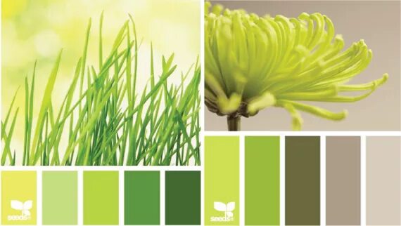 Оттенки зелёного цвета. Теплая зеленая палитра. Оливковый цвет название. Теплые оттенки зеленого. Оттенки холодного зеленого цвета в одежде.