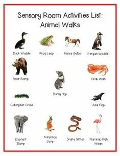 Animal walks