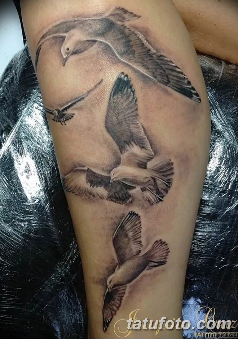 Чайки тату для девушек. Татуировка чайки на спине. Тату чайка над морем. Тату птица чайка. Чайка эскиз тату.