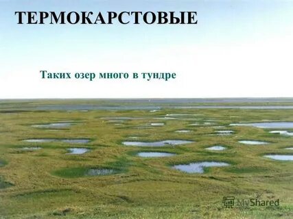 Термокарстовые блюдца