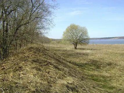 Борщевка рыльского уезда