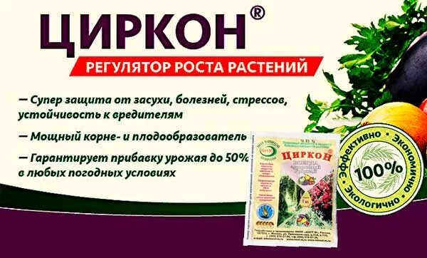 Циркон весной для хвойных. Стимулятор роста для растений циркон. Циркон биостимулятор роста. Стимулятор роста циркон 1 мл. Циркон "НЭСТ М" 1мл.