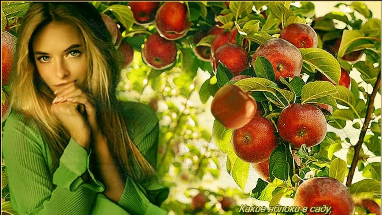 Музыка яблоня. Гифы осенние яблоки. Фотосессия в яблоневом саду с яблоками. Яблоко анимация. Яблоки гифки.