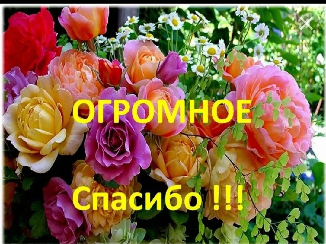 Спасибо и вам всего доброго. Огромное спасибо. открытки с благодарностью. спасибо вам огромное. открытка спасибо огромное.