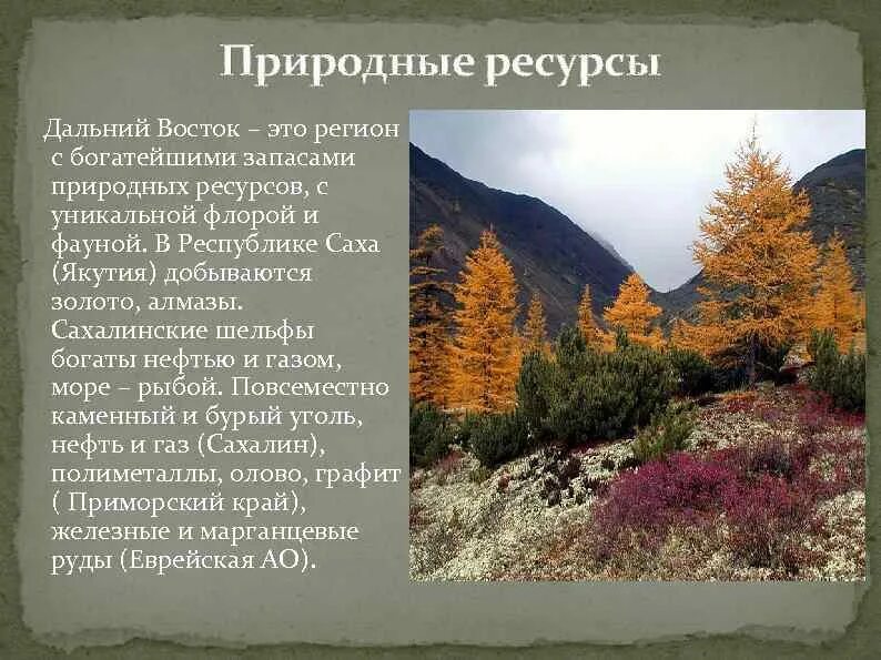 Дайте оценку природных дальнего востока. Природные ресурсы дальнего Востока. Природные богатства дальнего Востока. Природные ресурсы дальнего Востока дальнего Востока. Природные ископаемые дальнего Востока.