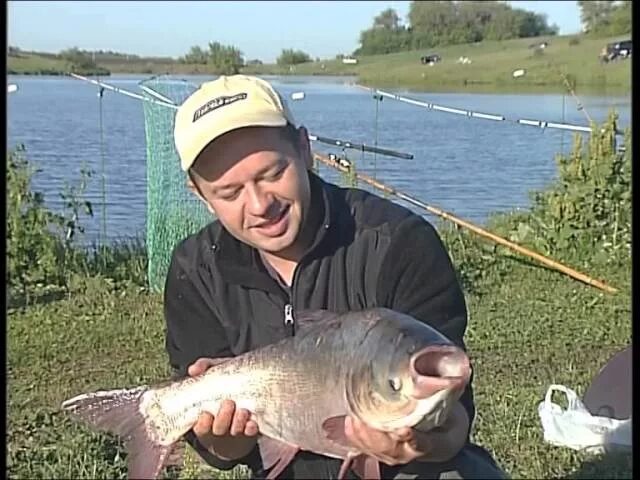 Ловля толстолобика. Рыбалка на толстолобика. Ловля толстолоба. Рыбалка на толстолоба.