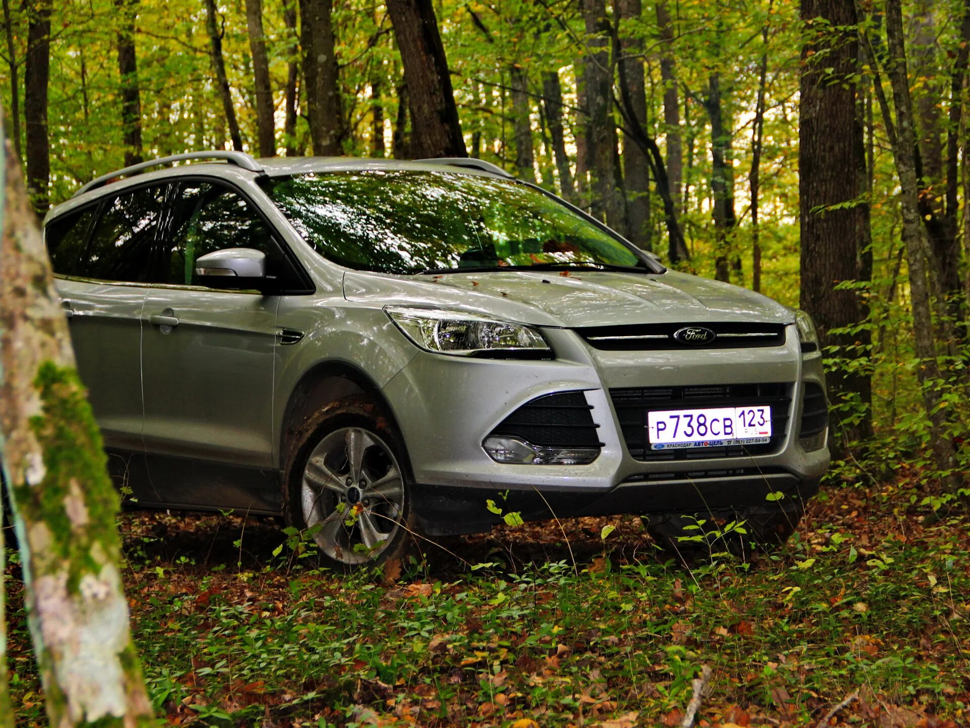 Куга 2 бензин. Ford Kuga 2. Куга 2 дорестайлинг. Ford Kuga в лесу. Kuga 2 дорестайлинг.