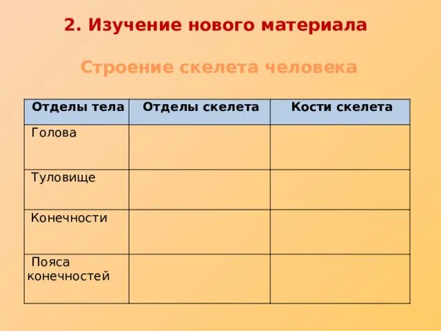 Отделы скелета человека таблица. Строение отделов скелета таблица. Таблица отделы тела отделы скелета. Таблица отделы тела отделы скелета кости скелета.