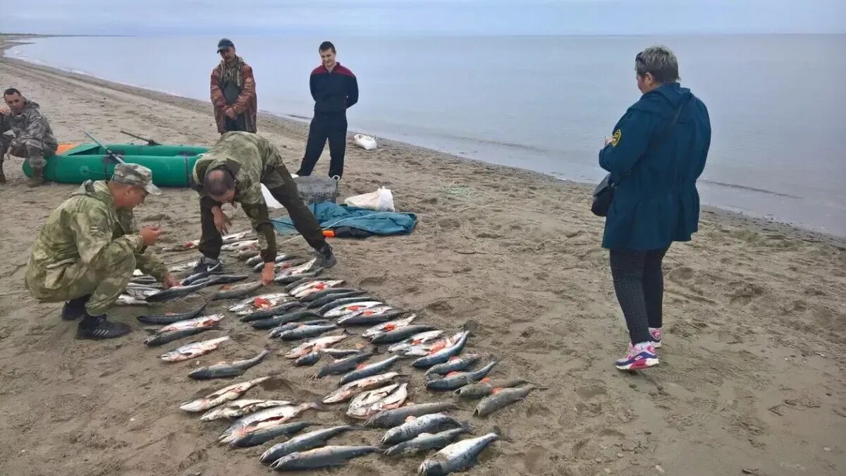 Статья 256. Незаконная добыча (вылов) водных биологических ресурсов. Незаконный рыбный промысел. Браконьерство водных биоресурсов.