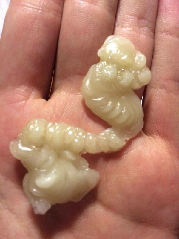 Утёнок из воска. Червяк на воске значение. Фигура зародыша из воска. Фигуры на отливках восковых. Червяк на воске значение.