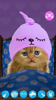 Включи кот говорит