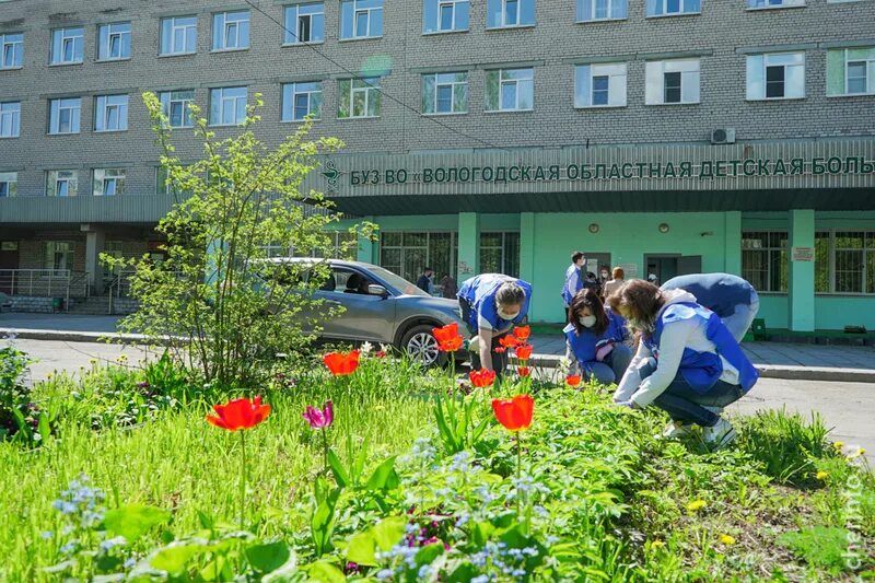 Психоневрологический диспансер череповец телефон