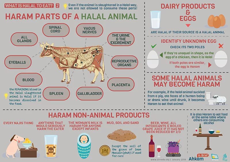 Можно есть конину мусульманам. Какие животные можно есть в Исламе. Какие животные Халяль в Исламе. Что можно кушать по исламу. Какие животные можно есть мусульманам.