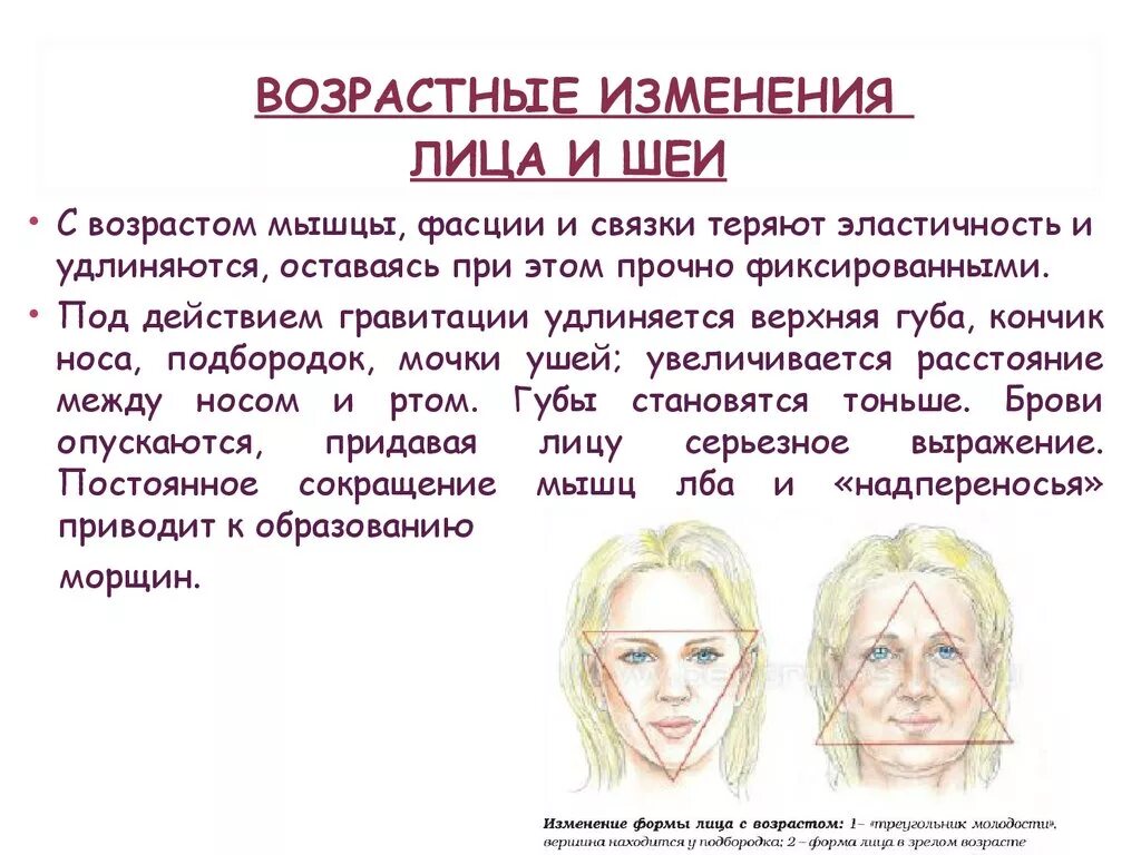 Возрастные изменения кожи лица. Возрастные изменения кожи лица. Этапы старения. Старение кожи. В организме страеет встрее.