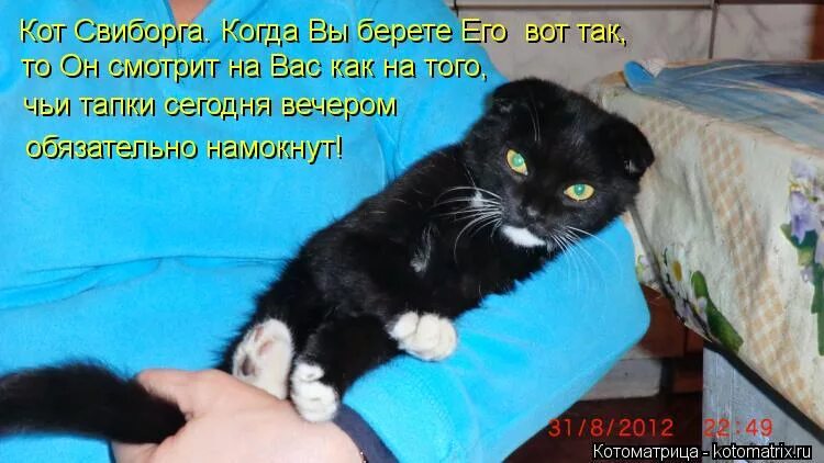 Опять захотелось в париж. На работу после отпуска приколы. Свинтус мемы. Надо смешные картинки. Опять тянуть.