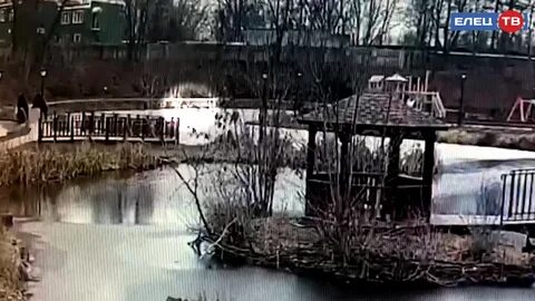 Видео ельце
