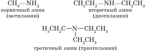 Амины егэ тест