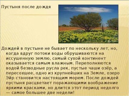Рассказ о своей воображаемой экспедиции в пустыню