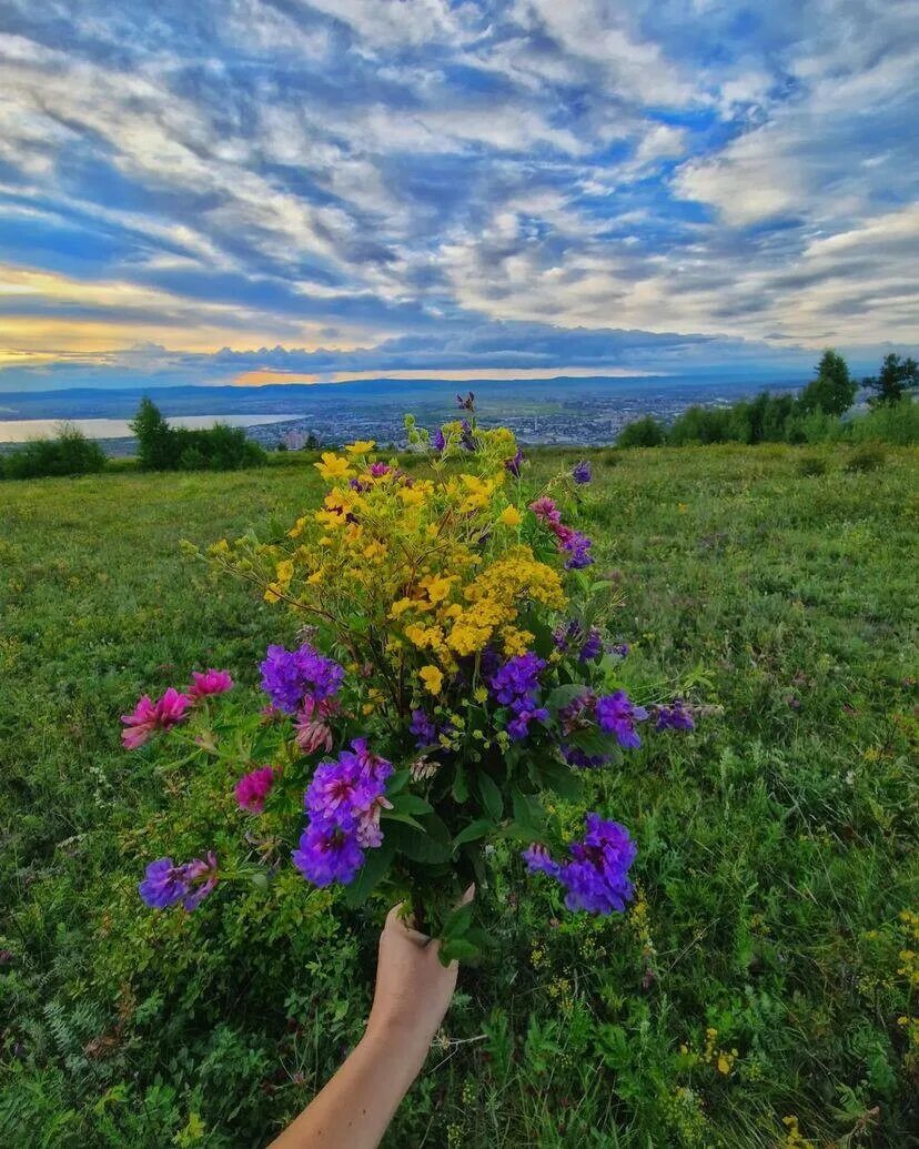 Период лета. Забайкалье. Лето в Забайкалье фото.