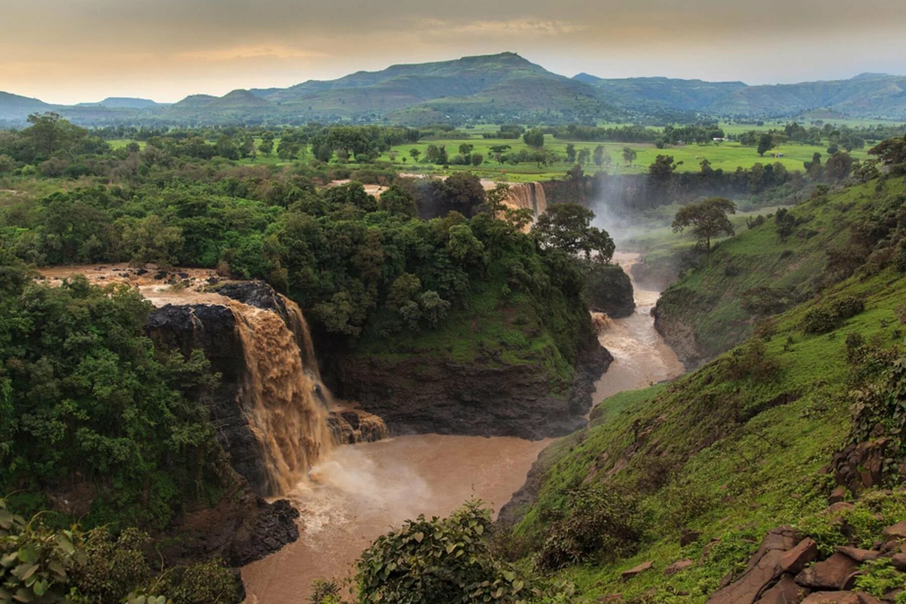 Эфиопия тыграй природа. Эфиопская область климат. Парк энтото эфиопия. Рельеф эфиопии. Эфиопская область климат.