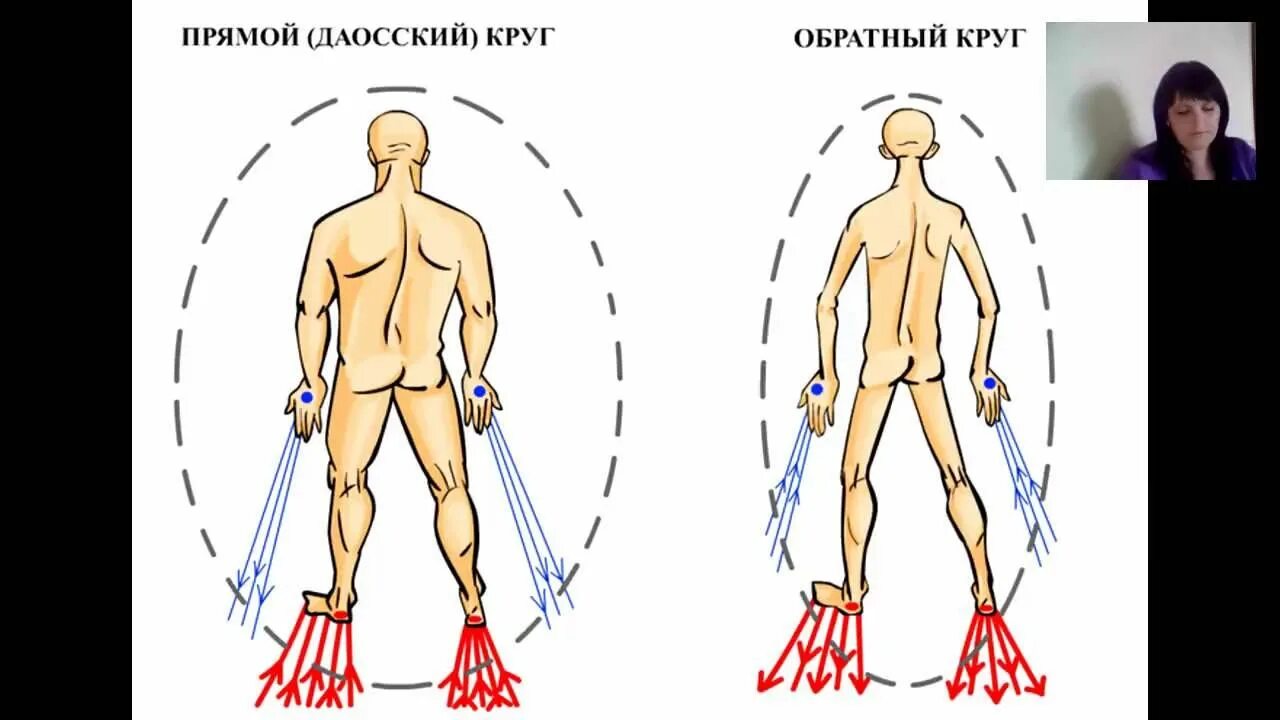 Нисходящий человек. Даосский круг и обратный круг Моносов. Прямой и обратный даосский круг. Прямой и обратный круг Моносов. Фаербол прямой и обратный круг.