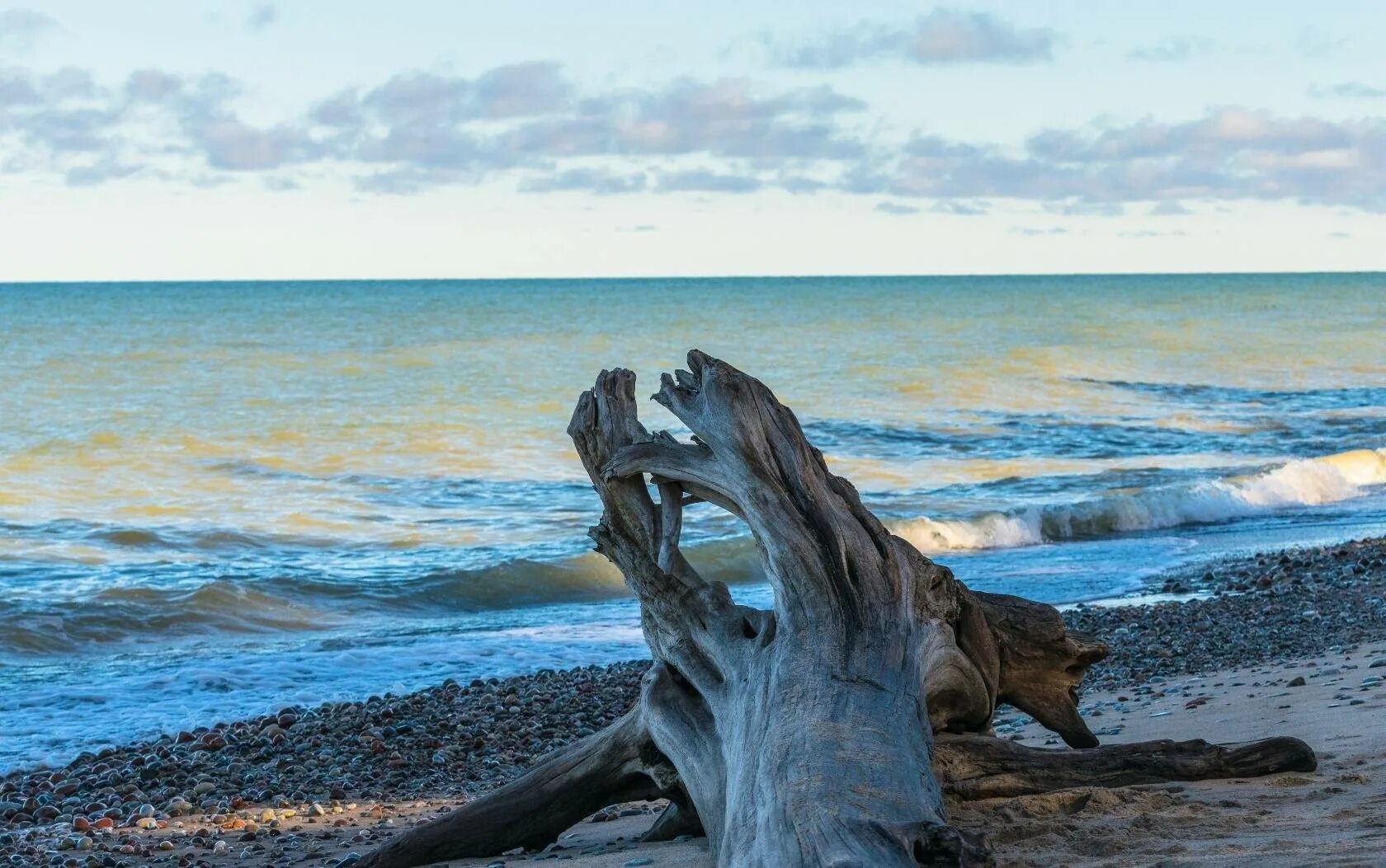 Температура воды в балтийском море зеленоградск. Балтийское море Светлогорск. Зеленоградск море. Южное побережье Балтийского моря. Куршская коса Калининград.