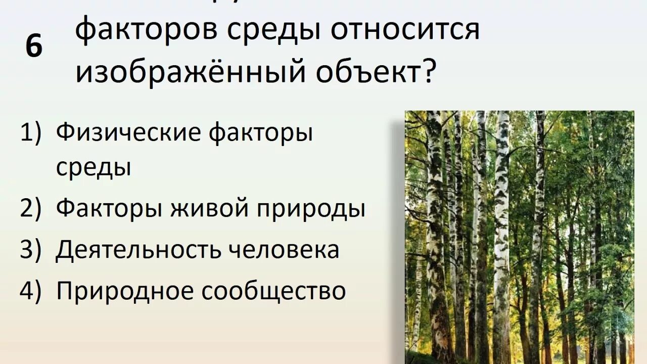 Природное сообщество лес 5 класс биология. Факторы природного сообщества. Природные сообщества факторы живой природы. Что мы узнали о жизнедеятельности организмов. Что мы узнали о взаимоотношениях организмов.