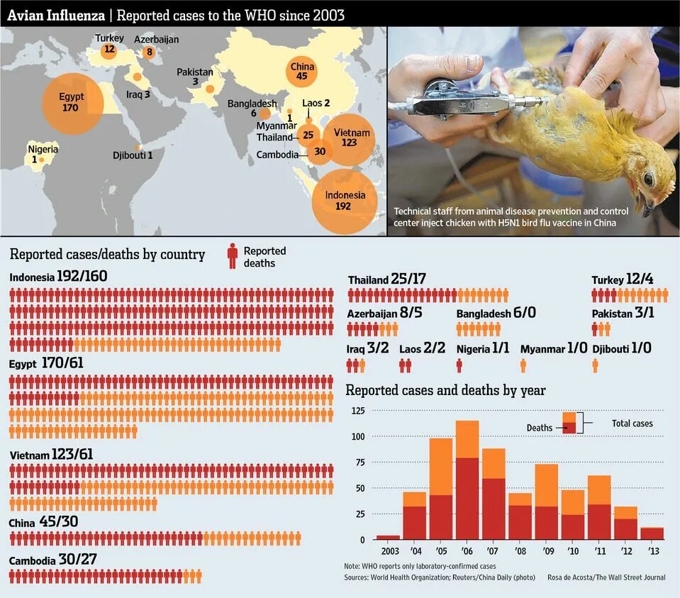 Птичий грипп распространение. Птичий грипп карта. Influenza statistics.