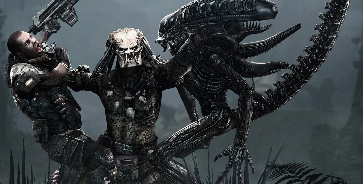 Хищник мнение. Aliens vs Predator 2010 чужой. Aliens vs. Predator (игра, 2010). Aliens vs. Predator ремейк. Aliens vs. Predator 2021.