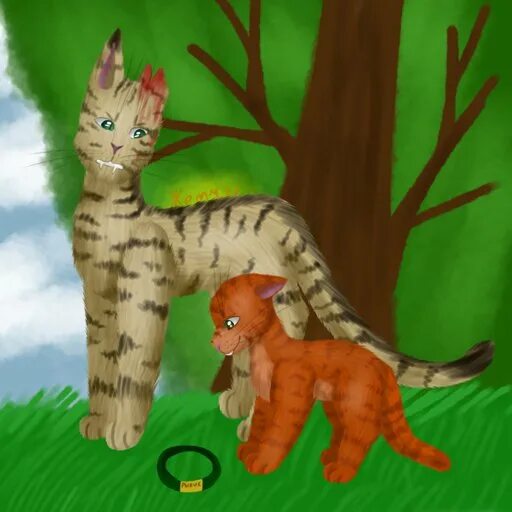 warriors cats - Google Search Warrior cats art, Warrior cats books, Warrior cat