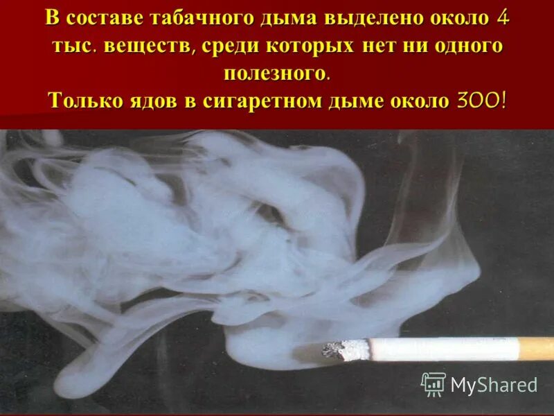 кольца дыма от кальяна. создаем дым в фотошопе. газообразный аммиак. табачный дым дым. дым от оружия.