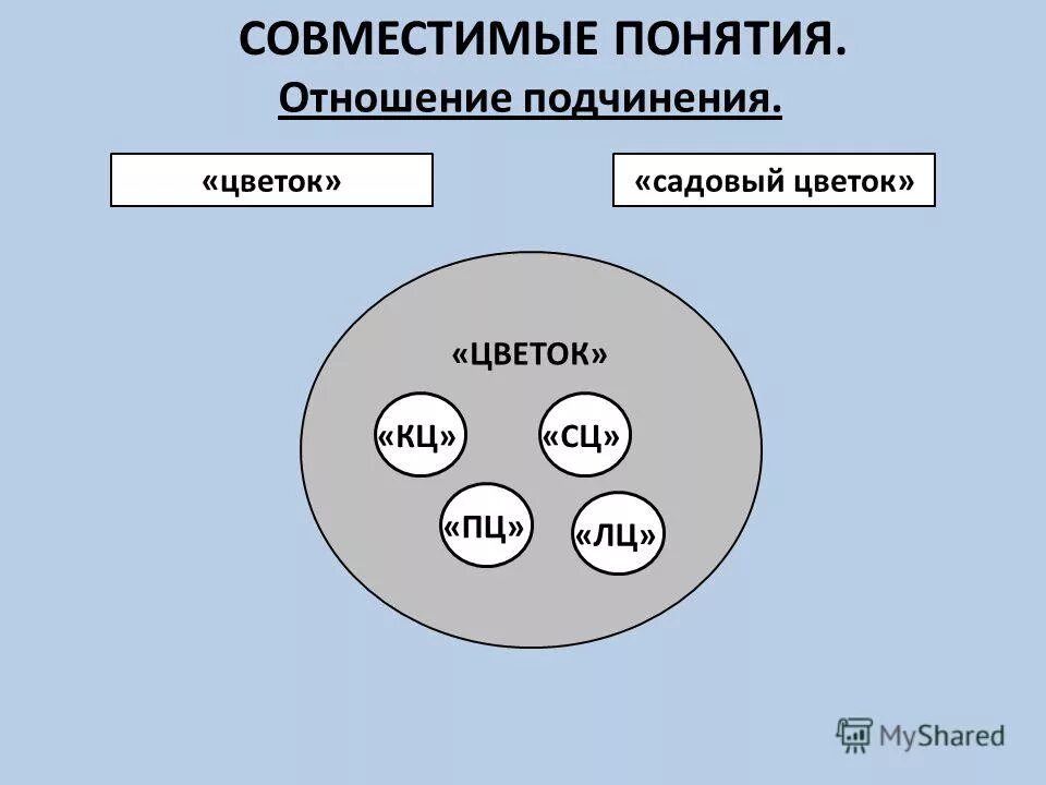 Кольцевое управление. Отношение подчинения. Совместимые понятия: подчинение.