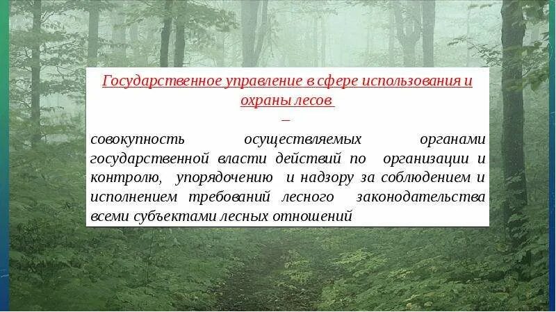 Управление использованием и охраной природных ресурсов. Управление в области использования и охраны лесов. государственное управление в лесу. контроль использования и охраны лесов.