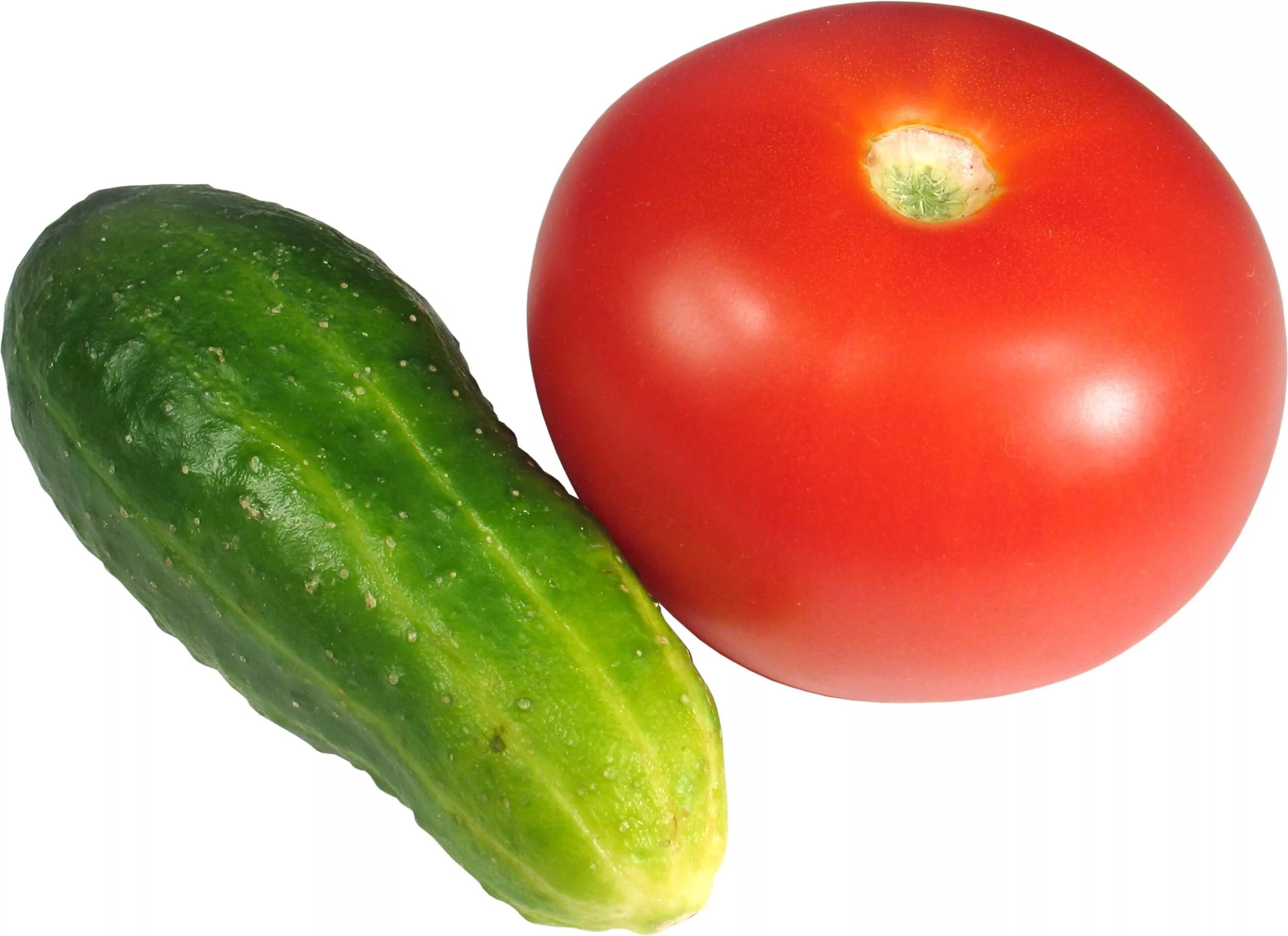 Картинка овощей по отдельности. Огурцы и помидоры. Овощи и фрукты по отдельности. Огурчики помидорчики. Овощи для детей по отдельности.