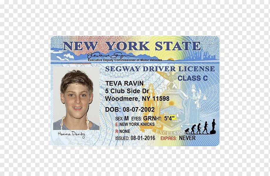 Драйв документы. New York Driver License.