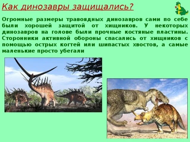 Сообщение о древнем животном