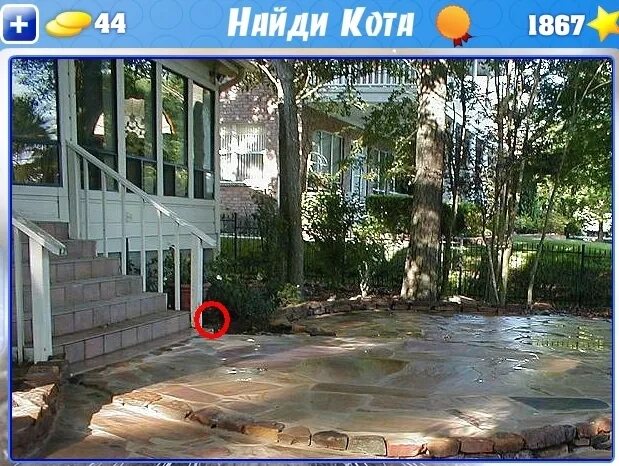 Найти кота онлайн. Найдите кота. Найди кота пожалуйста. Доп 2 уровень 272 найди кота. Уровень 528 найди кота.