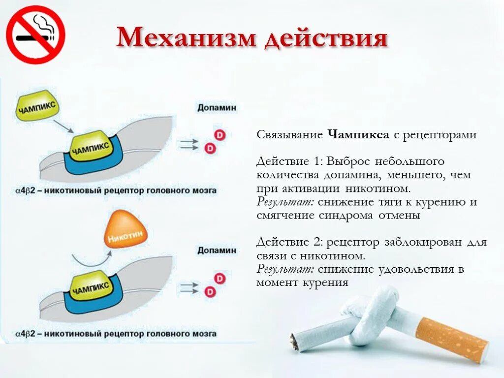 Эффект от курения. Курение механизм воздействия. механизм действия курения. допамин механизм действия. механизм действия никотина.