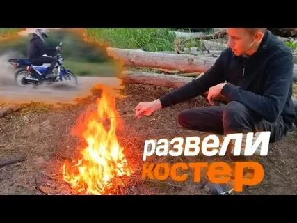 В лесу не ездят