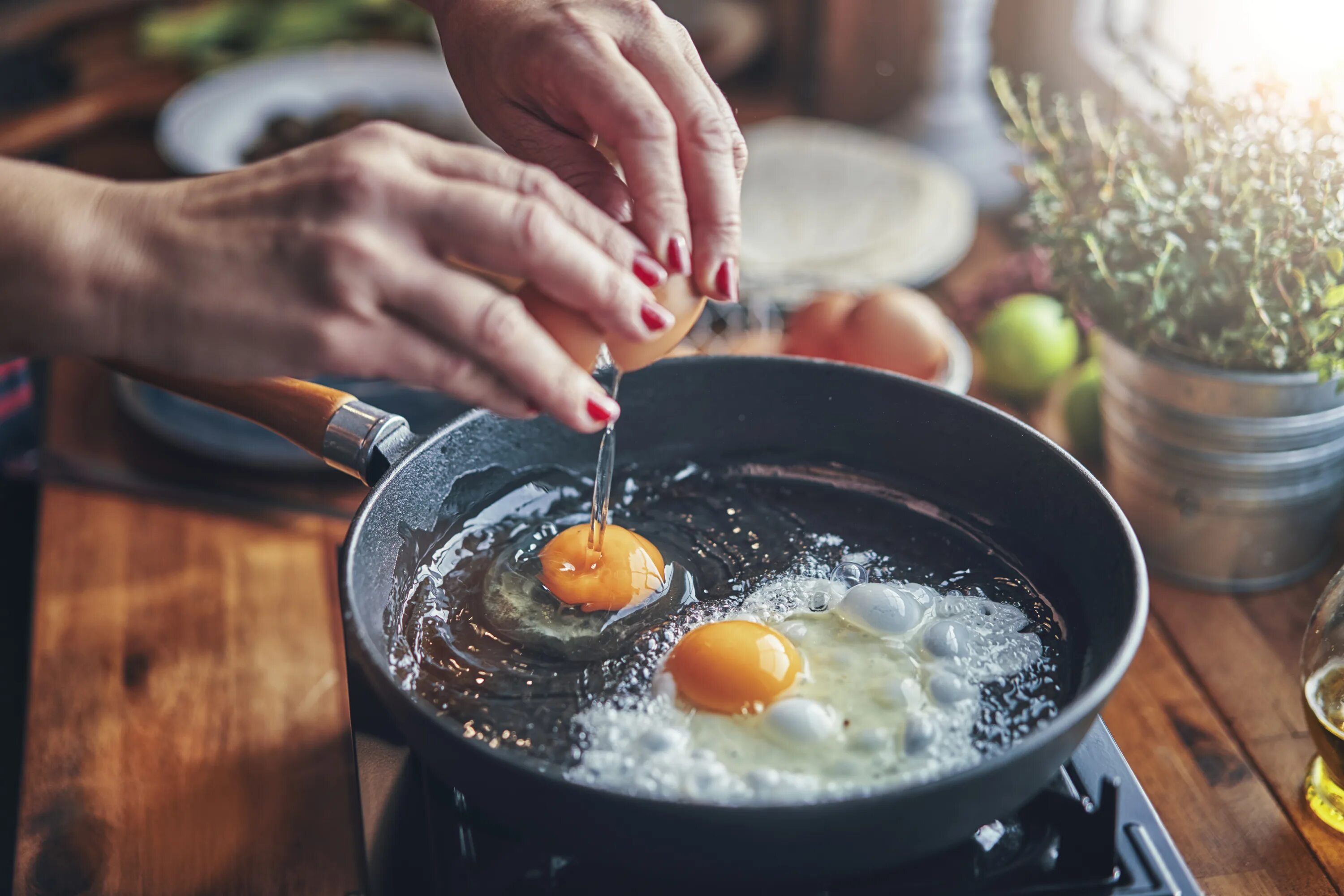 Сковорода с яичницей. Сковородка для яичницы. Готовка. Процесс приготовления еды. Яйцо на воде в сковороде