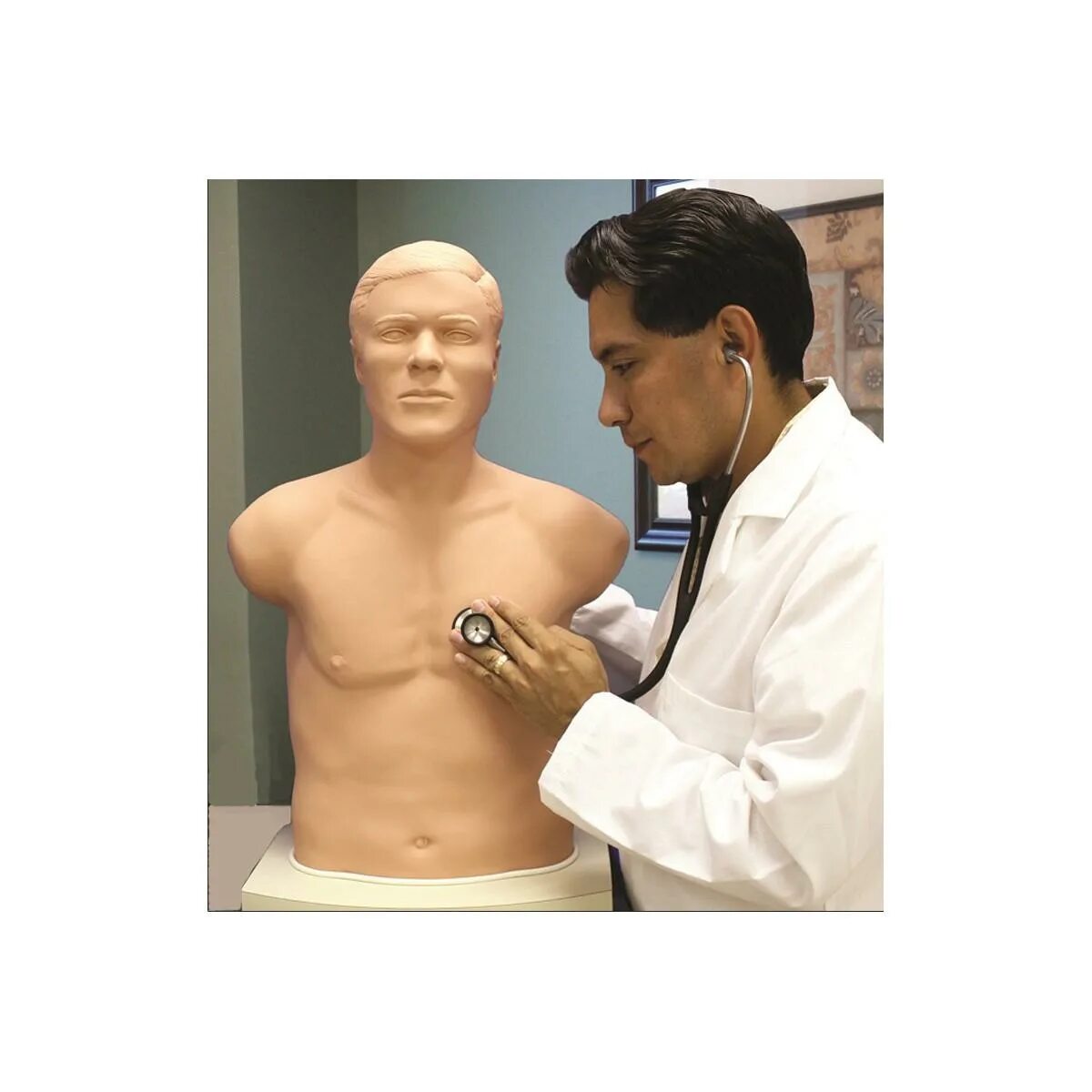 Манекен сердца. Аускультация легких на манекене. Манекен сердца. Манекен с сердечком. Резиновое сердце анатомическое.