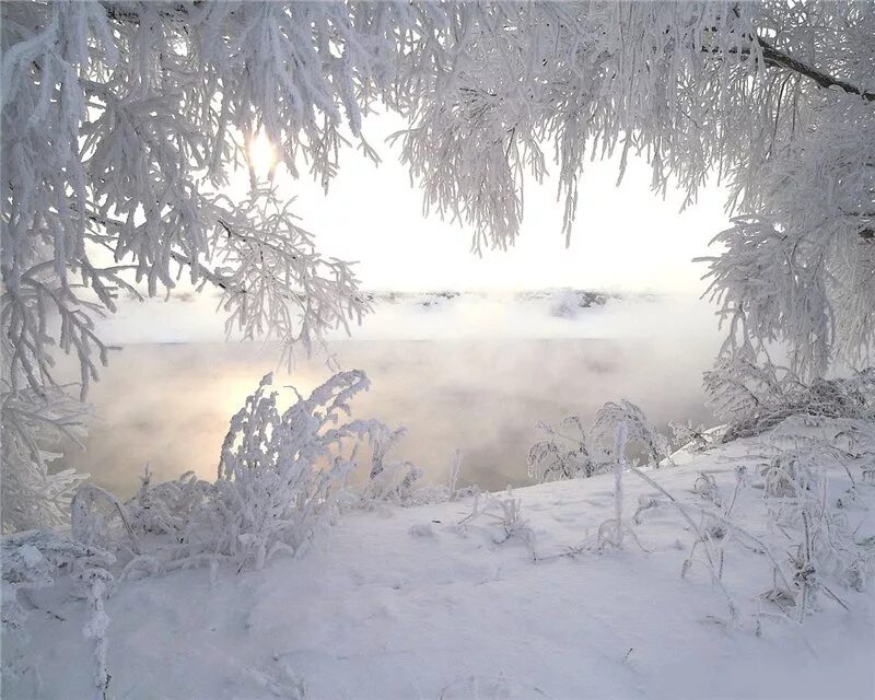 Морозная зима. Зима Пурга. Февральская метель. Февральский пейзаж. Дымка снега