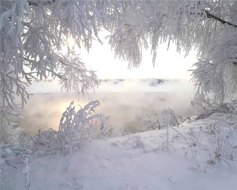 Где прячется снег. Морозная зима. Зима Пурга. Февральская метель. Февральский пейзаж.